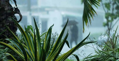 El COE aumenta a cuatro las provincias en alerta roja por sistema frontal y vaguada