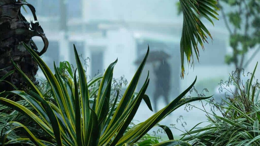 Indomet prevé lluvias para la tarde y noche de este miércoles