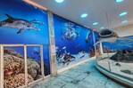 Fotomar ilumina el Museo de Historia Natural con un nuevo mural marino