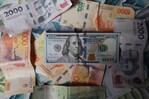 Milei promulga ley para que argentinos blanqueen ahorros en dólares
