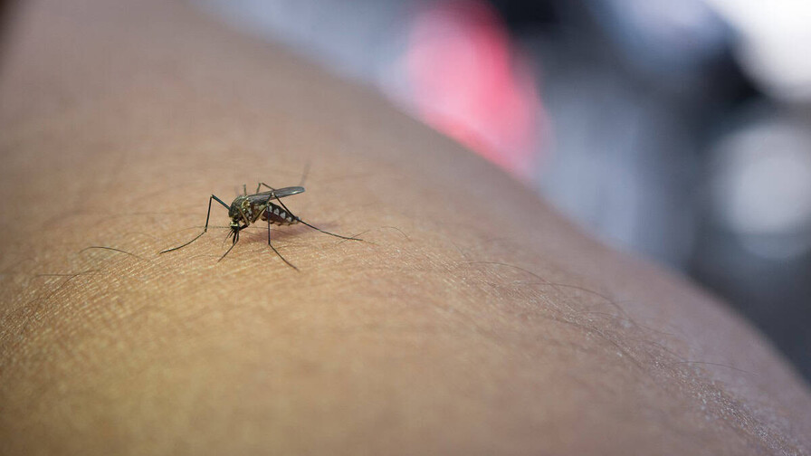 ¿Cuál es la provincia con mayor incidencia de dengue en la República Dominicana?