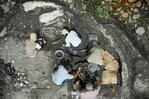 Hallan en Costa Rica fósiles de perezoso y mastodonte de unos 40,000 años de antigüedad