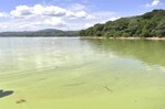Pesca en ruinas y turismo en caída por la contaminación del agua en la presa de Hatillo