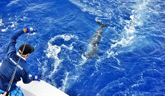 Pesca deportiva en RD: el turismo de élite que impulsa la inversión y el desarrollo inmobiliario