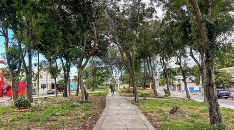 Parque de Villa Carmen: 40 años entre promesas y abandono