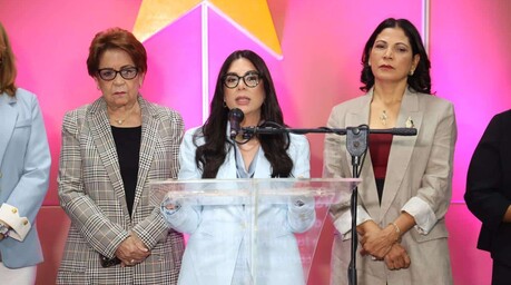 El PLD denuncia aumento en vulneración de derechos y violencia hacia las mujeres