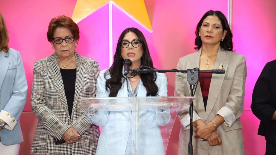 El PLD denuncia aumento en vulneración de derechos y violencia hacia las mujeres