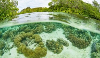 El falso conflicto entre áreas protegidas y propiedad privada