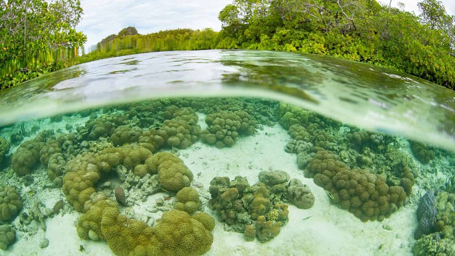 El falso conflicto entre áreas protegidas y propiedad privada