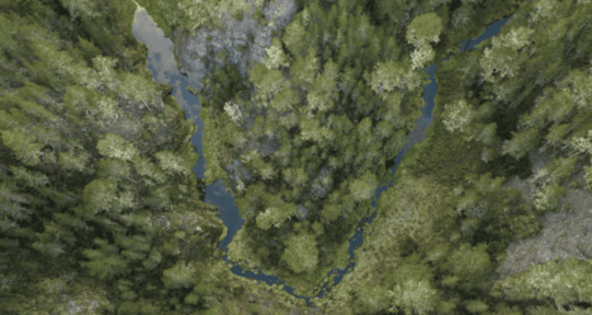 El Ejecutivo crea comisión para impulsar Observatorio de Políticas Ambientales