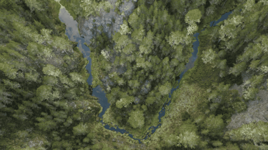 El Ejecutivo crea comisión para impulsar Observatorio de Políticas Ambientales