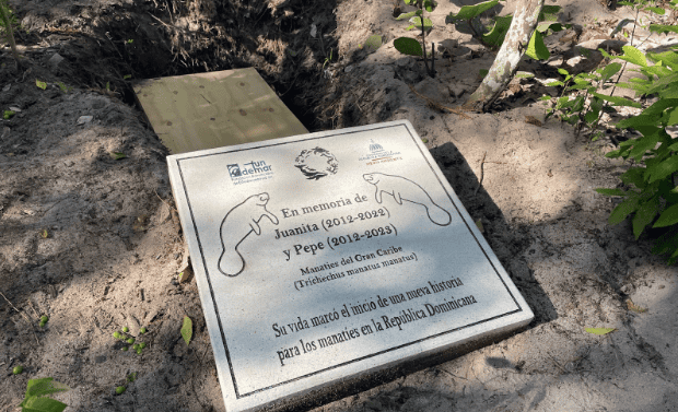 Los restos de Juanita fueron depositados en una caja de madera y se colocó una placa conmemorativa.&nbsp;