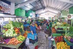 La cartera de crédito al sector agropecuario superó los RD$132 mil millones al cierre de 2025