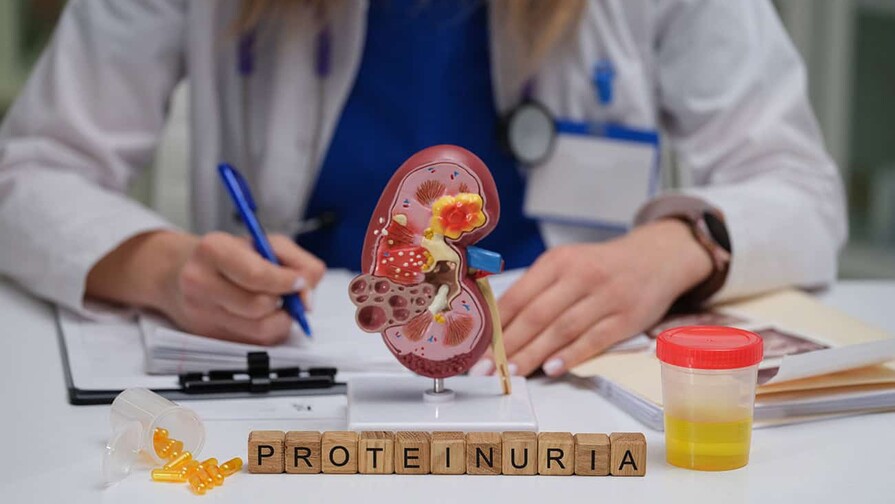 ¿Reducir proteínas en la proteinuria? Más matices de los que creemos