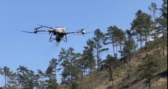 Ministerio de Medio Ambiente ejecuta reforestación asistida con drones en Dajabón