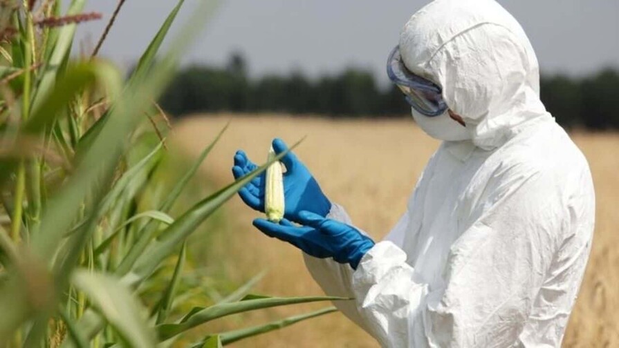 A consulta pública reglamento sobre organismos genéticamente modificados en el país 