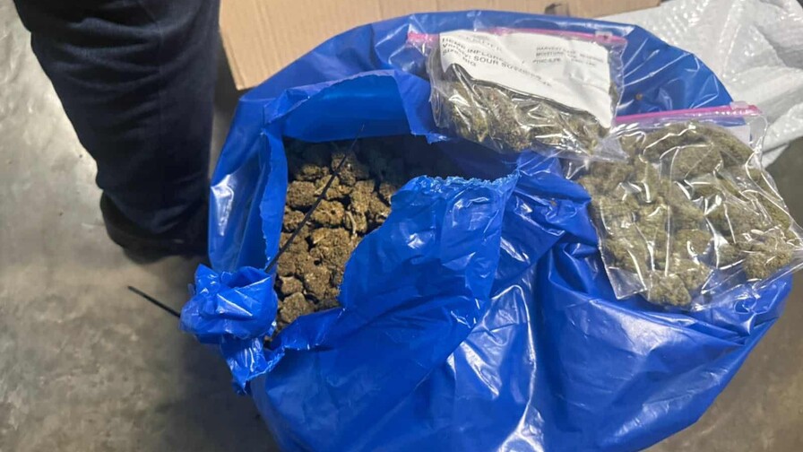 Decomisan 35 libras de marihuana tras operativo en el aeropuerto Las Américas