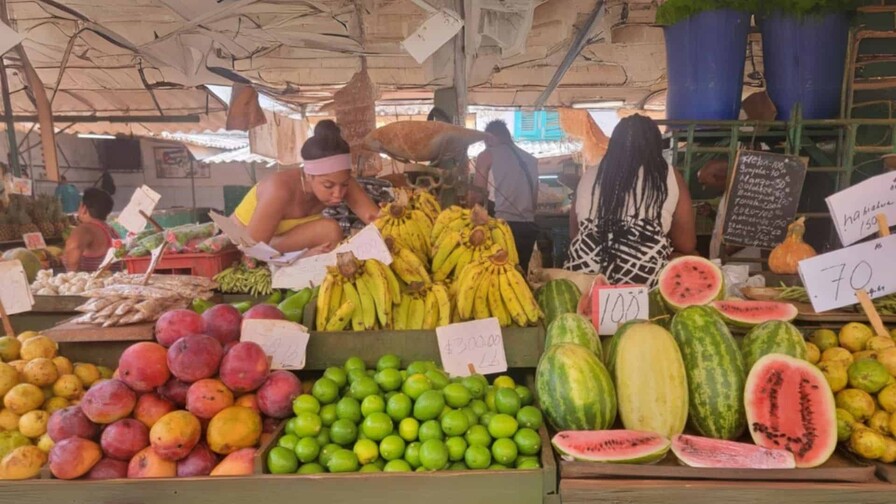 Cuba abre el comercio de productos agrícolas al sector privado