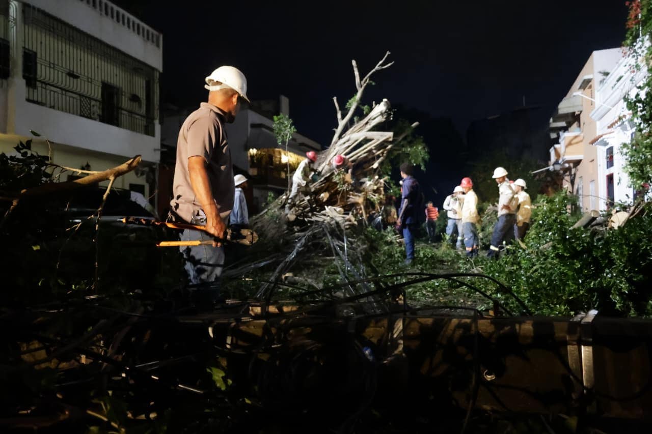 Brigadas cortan ramas de árboles en la Zona Colonial de Santo Domingo como consecuencia de las lluvias.