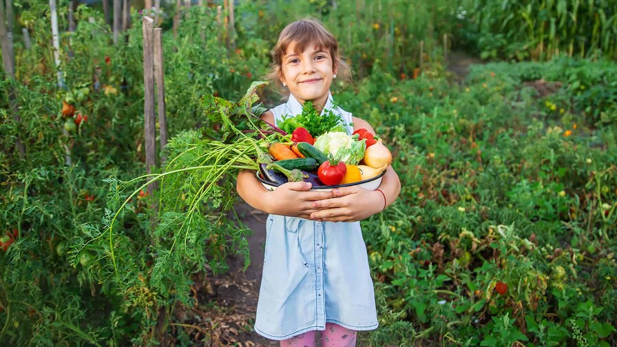Libres para elegir: el poder de los alimentos como medicina