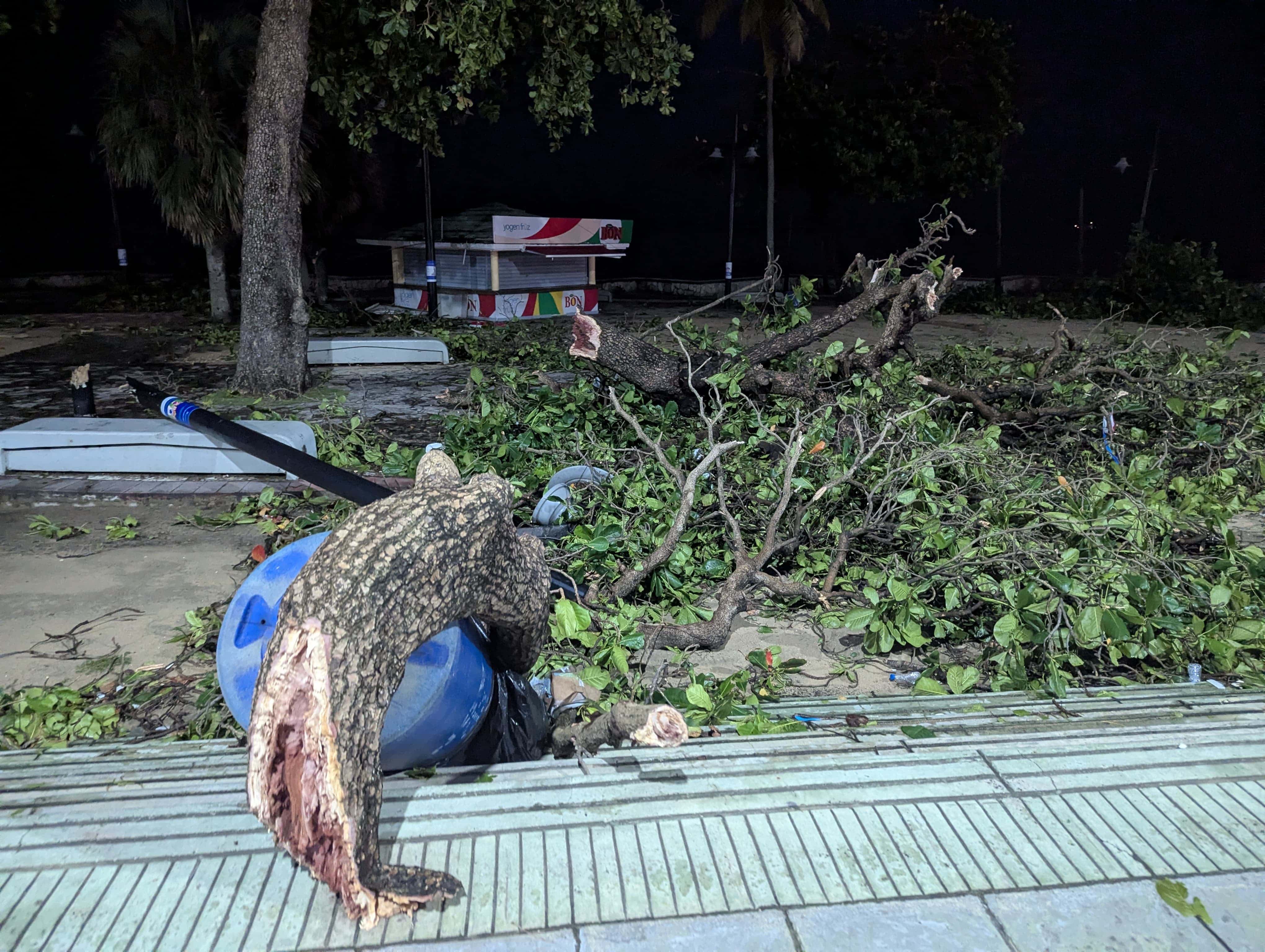 En el área de Güibia se observaron numerosos árboles y ramas caídas, así como un poste de alumbrado derribado.