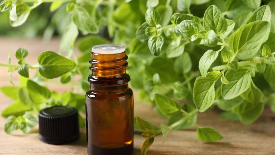 ¿Y si el aceite de orégano está empeorando tu intestino en vez de ayudarlo?