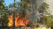 Científicos temen un año particularmente severo en cuanto a incendios en el mundo