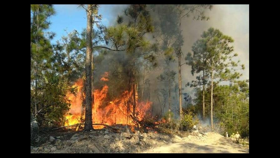 Dos incendios en el oeste de Cuba arrasan ya 600 hectáreas de bosque