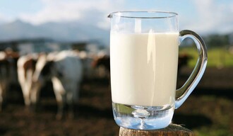 La leche dominicana y la productividad como una decisión de país
