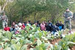 Detienen a 23 haitianos indocumentados en zona boscosa de Dajabón