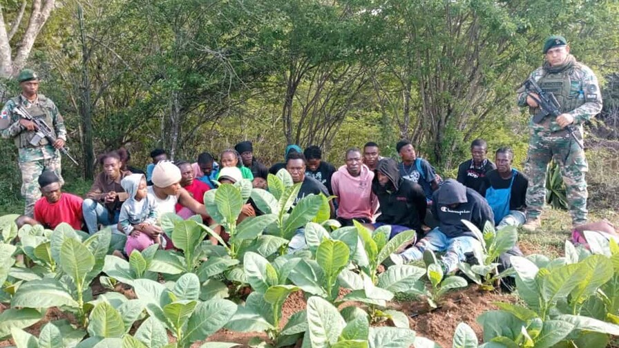 Detienen a 23 haitianos indocumentados en zona boscosa de Dajabón