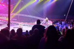 Un tigre salta de la arena al público durante espectáculo circense en el sur de Rusia