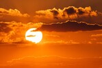Recrudecimiento de episodios de calor extremo lleva a la agricultura mundial al límite Recrudecimiento de episodios de calor extremo lleva a la agricultura mundial al límite