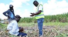 El Gobierno refuerza acciones para erradicar el trabajo infantil
