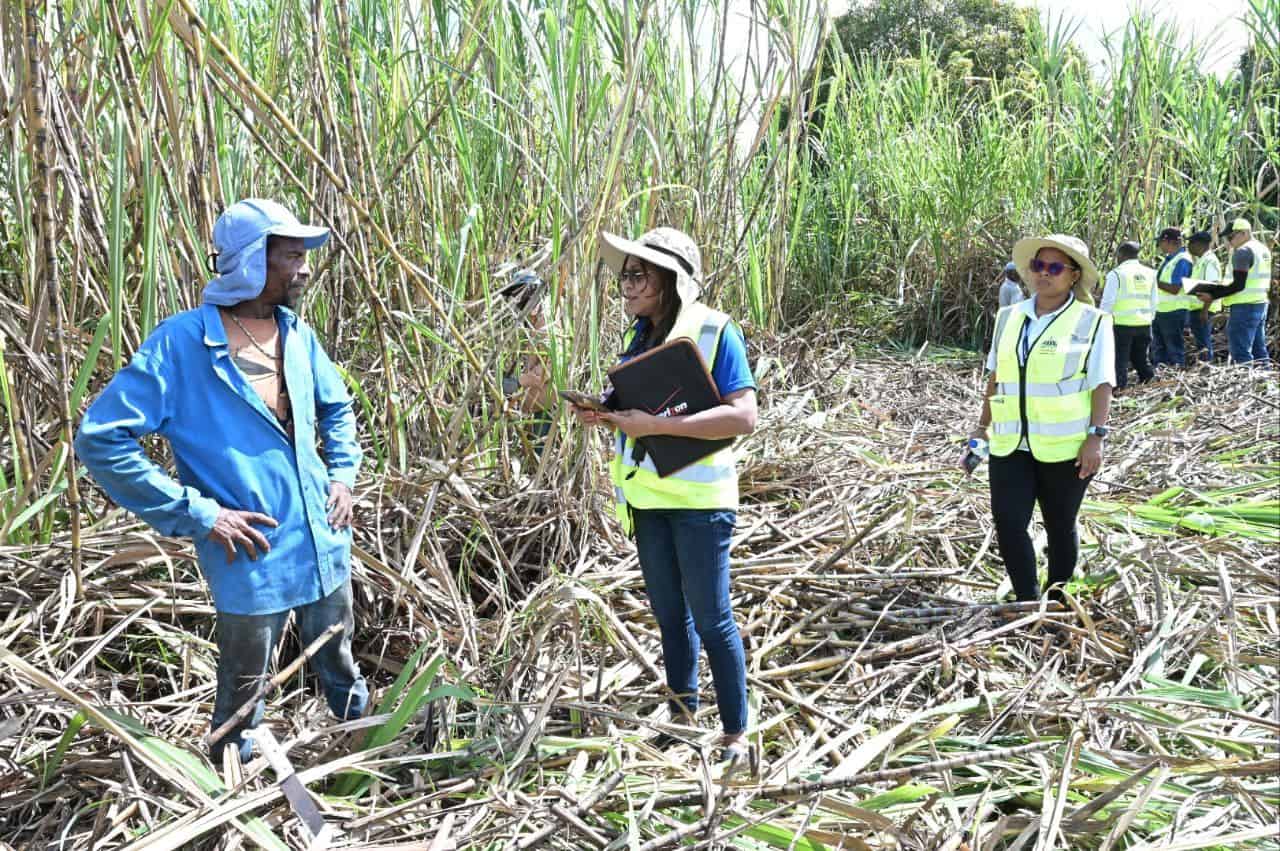 Inspecciones en el sector agrícola.
