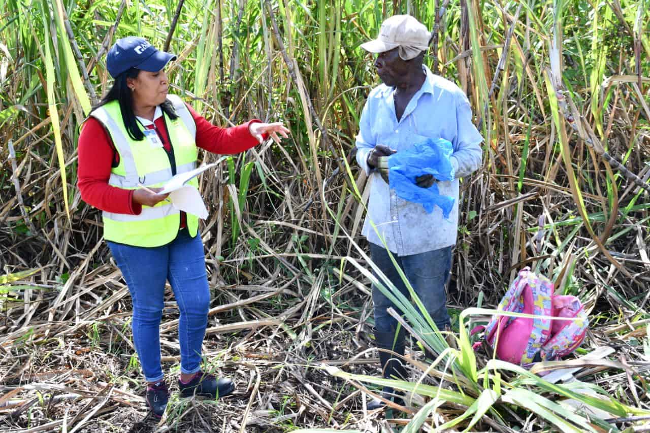 Inspecciones en el sector agrícola.