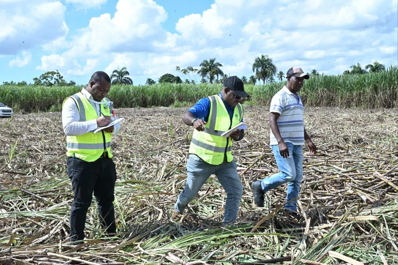 Inspecciones en el sector agrícola.