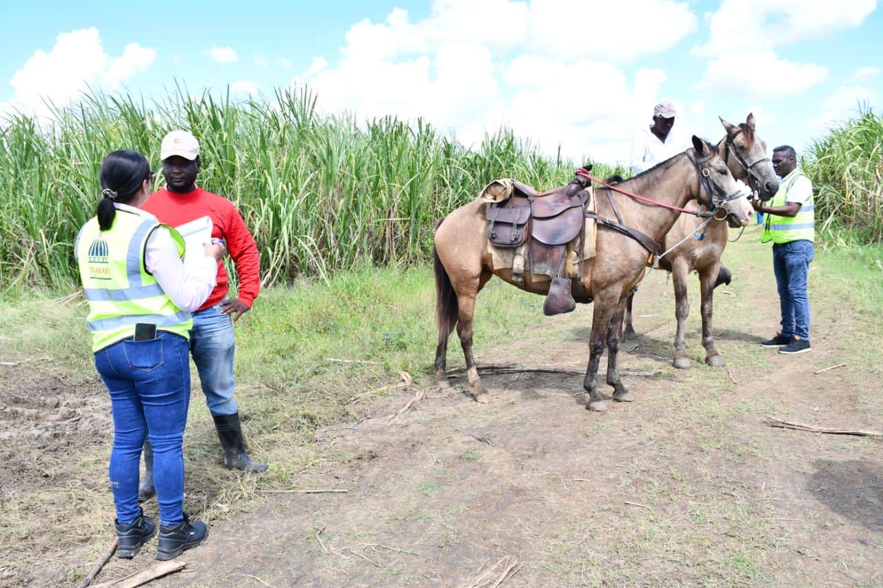 Inspecciones del Ministerio de Trabajo en el sector agrícola.