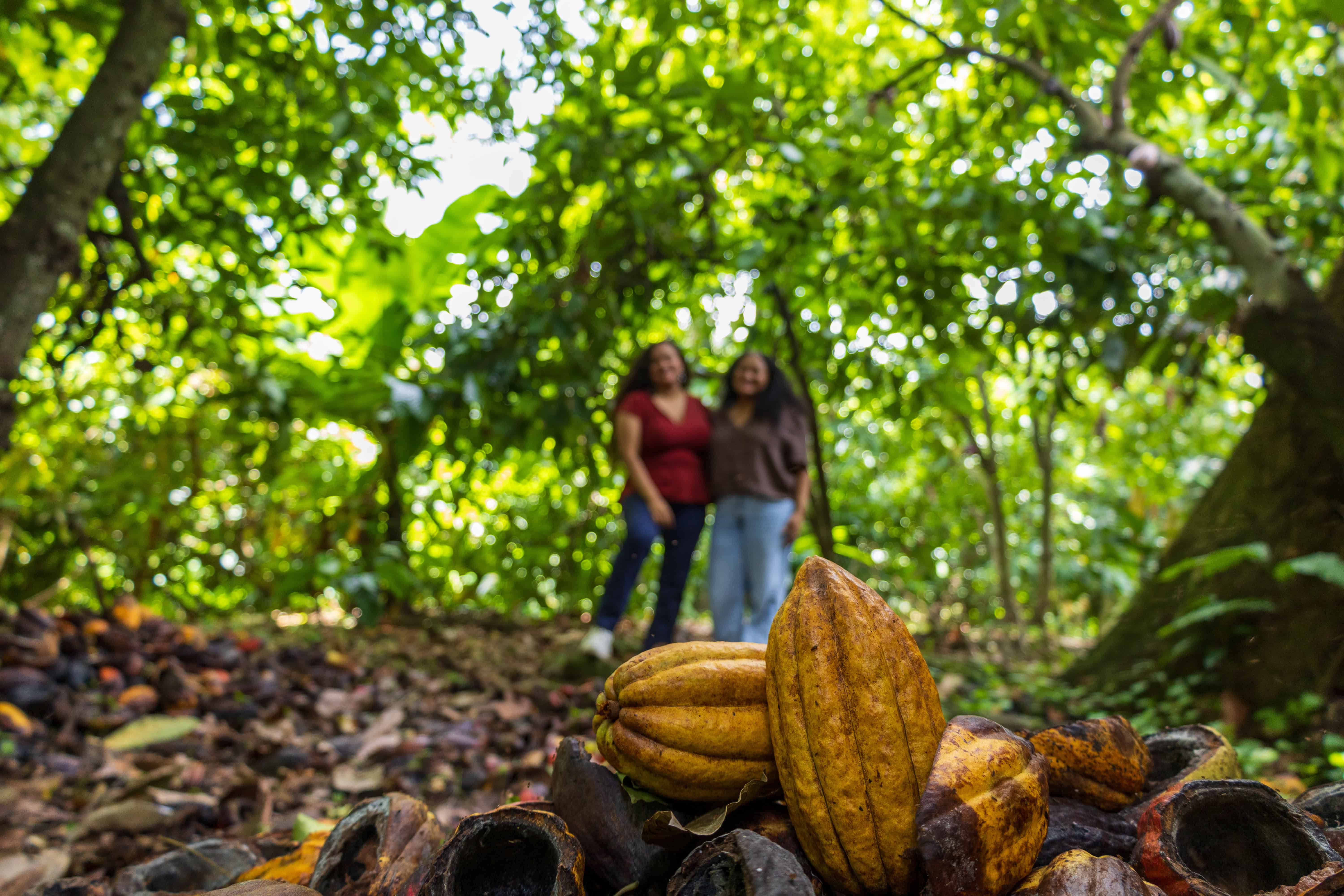 Las hermanas Erika y Janett Liriano, que están llevando el cacao del país al mundo<br>