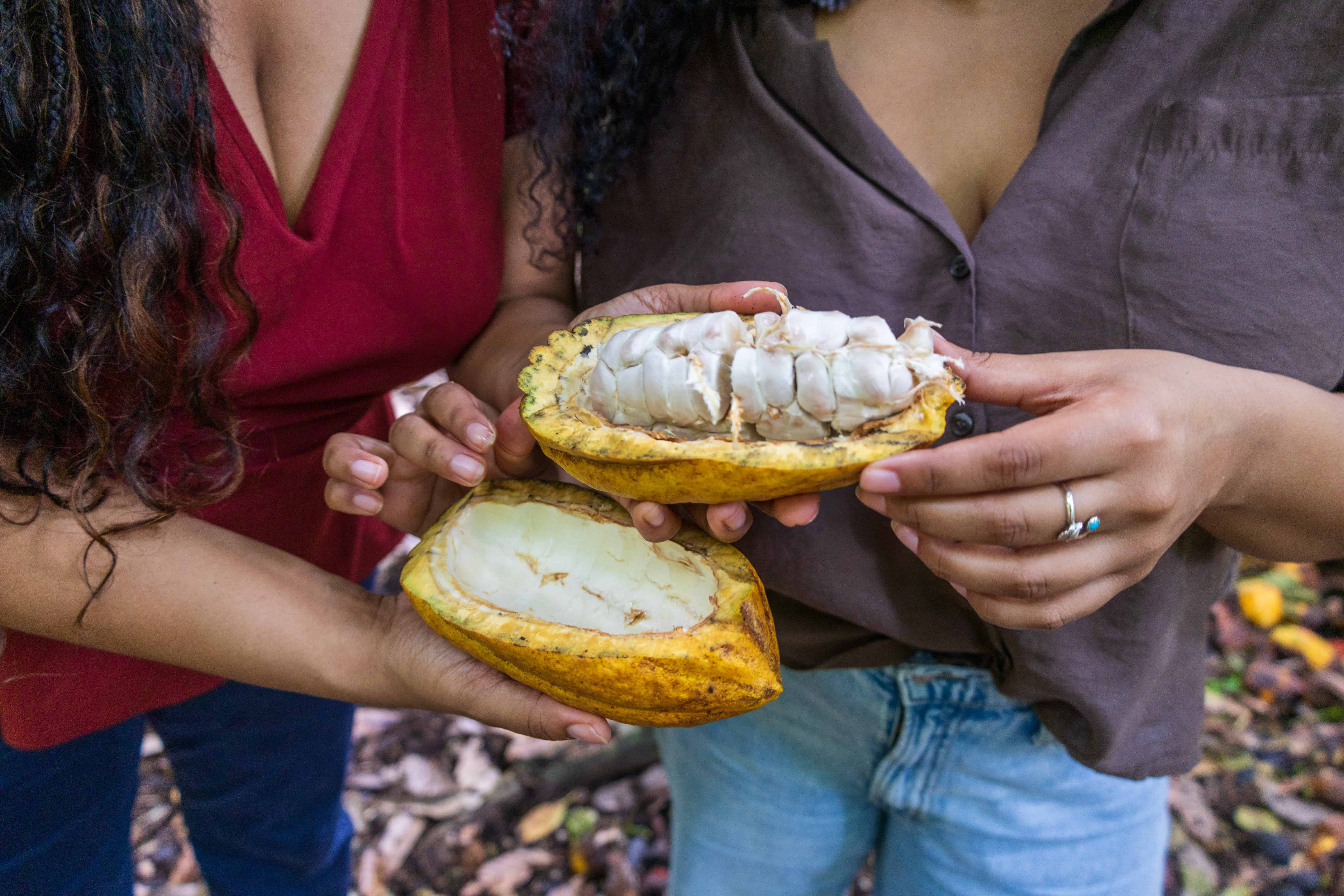 Las hermanas Erika y Janett Liriano, que están llevando el cacao del país al mundo