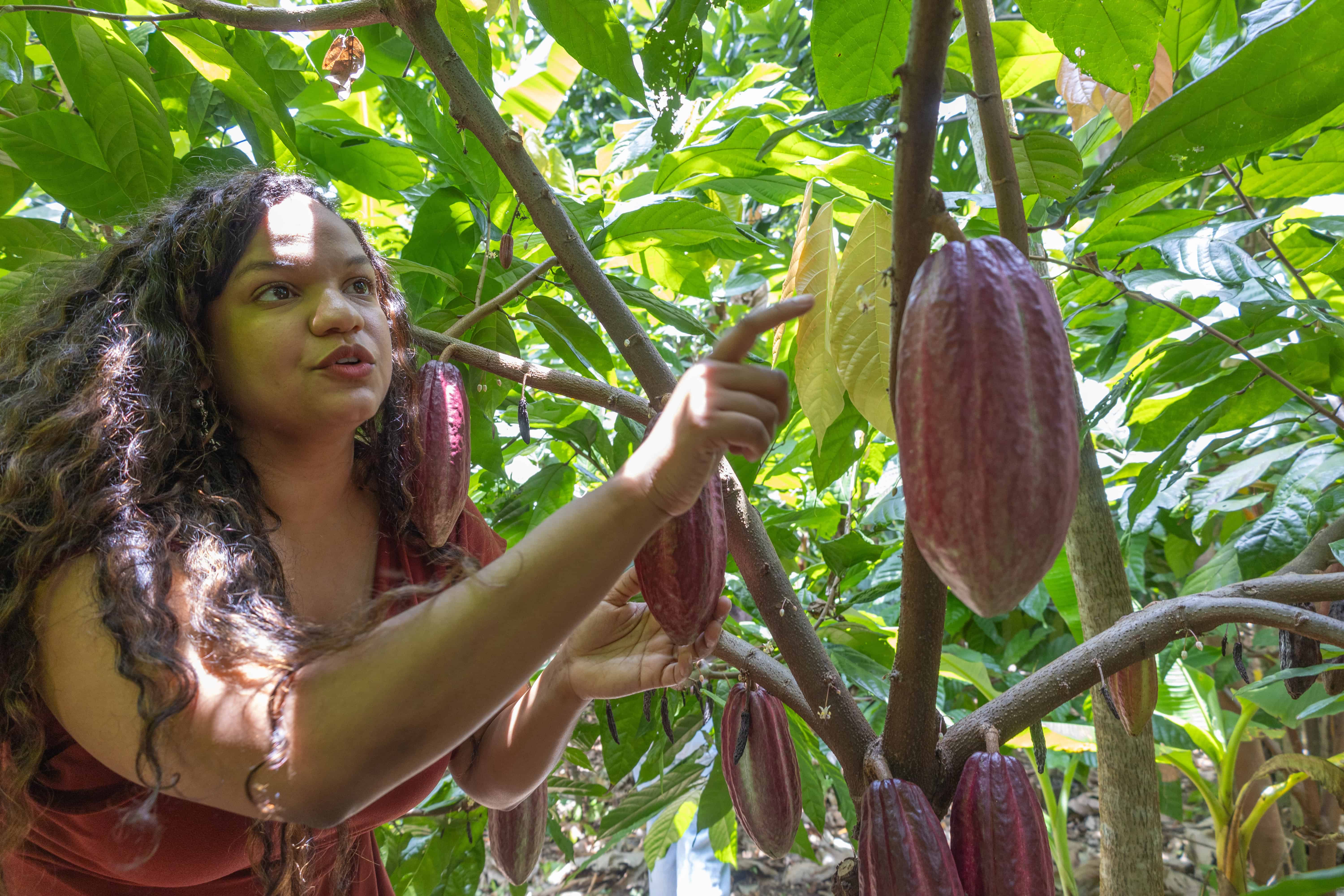 Las hermanas Erika y Janett Liriano, que están llevando el cacao del país al mundo