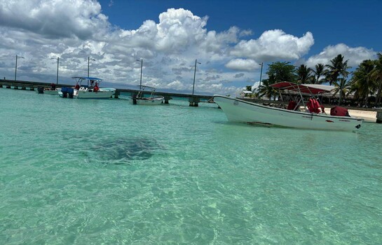 Bayahíbe distinto: la ruta que pasa por cañaverales y culmina en Isla Saona