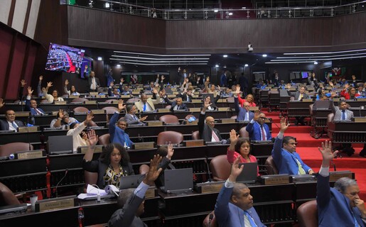 El limbo constitucional de la ley observada por Abinader que aún sigue viva en el Congreso
