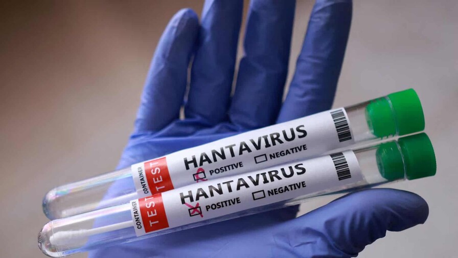 España, Francia y Países Bajos adquieren un tratamiento experimental contra el hantavirus
