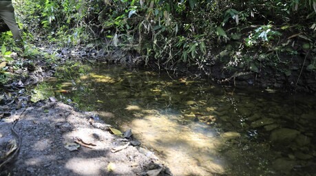 Familiares relatan cómo hallaron el cuerpo de niño en cañada de San Cristóbal