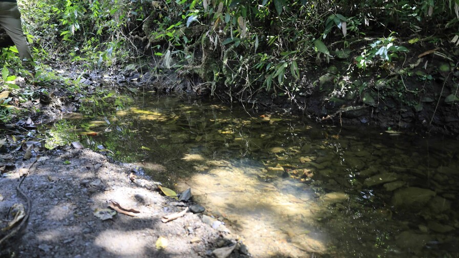 Familiares relatan cómo hallaron el cuerpo de niño en cañada de San Cristóbal