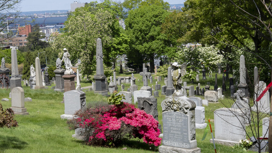 Tequila y ópera en español reviven a Frida Kahlo y Diego Rivera en cementerio de Brooklyn