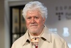 Almodóvar carga contra los Óscar por ignorar la guerra en Gaza y las críticas contra Trump Almodóvar carga contra los Óscar por ignorar la guerra en Gaza y las críticas contra Trump