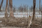 “Actuar localmente”: el reto que marca el Día de la Biodiversidad