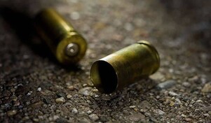 En menos de 24 horas, la Policía pone en “29” a siete supuestos delincuentes